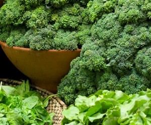 most-nutrient-dense-leafy-greens-for-health